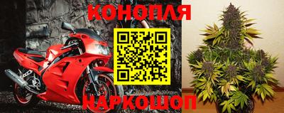 шишки Краснознаменск