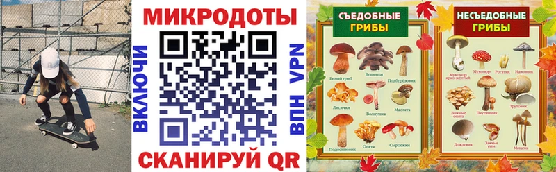 Галлюциногенные грибы Psilocybe  Калач-на-Дону 