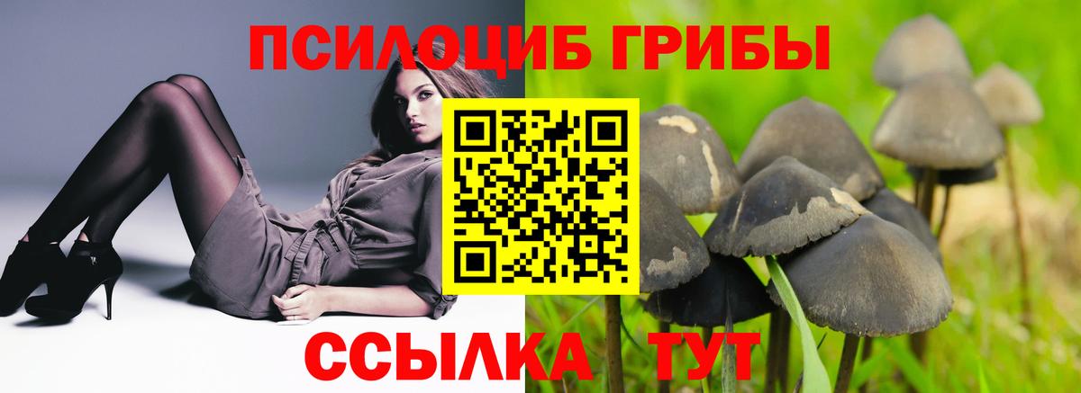 Псилоцибиновые грибы прущие грибы Калач-на-Дону
